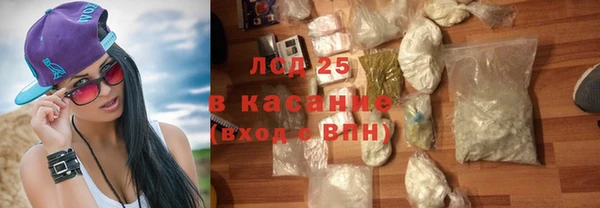 ГАЛЛЮЦИНОГЕННЫЕ ГРИБЫ Няндома