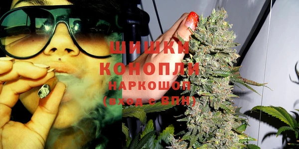 ГАЛЛЮЦИНОГЕННЫЕ ГРИБЫ Няндома