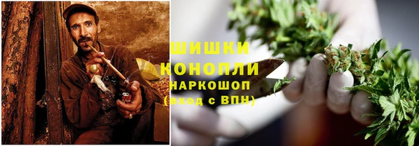ГАЛЛЮЦИНОГЕННЫЕ ГРИБЫ Няндома