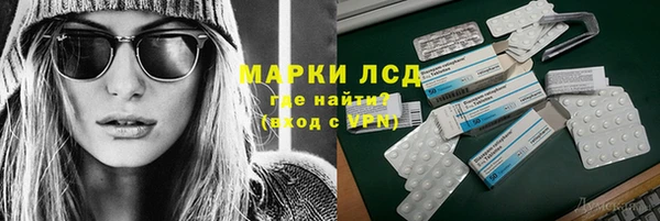 ГАЛЛЮЦИНОГЕННЫЕ ГРИБЫ Няндома
